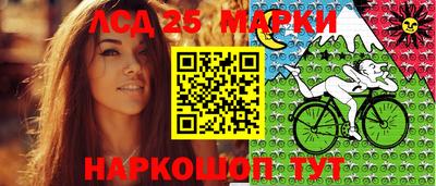 гидропоника Пенза