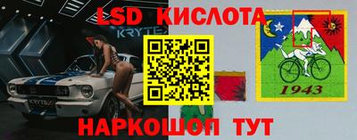 гидропоника Пенза