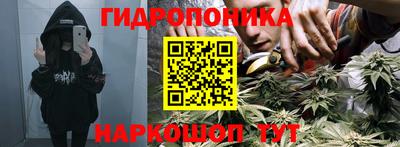 ALPHA PVP Партизанск