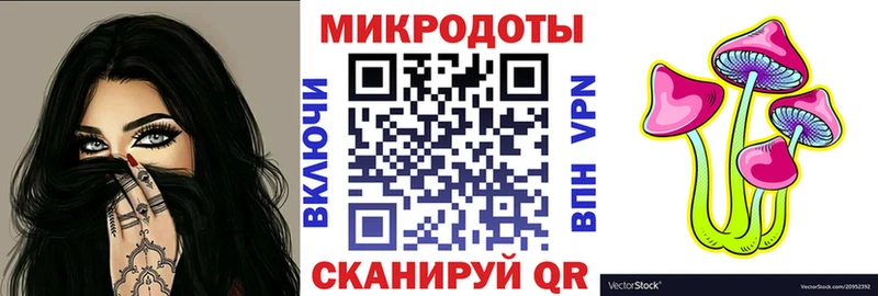 Галлюциногенные грибы Psilocybe Саянск