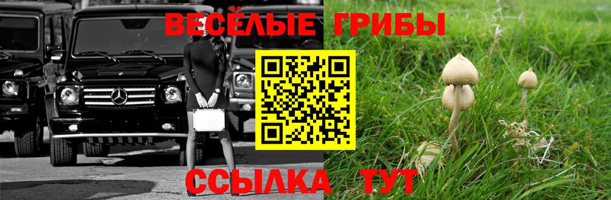 Галлюциногенные грибы прущие грибы  Вход с VPN  даркнет сайт  Псилоцибиновые грибы ЛСД  Саянск 